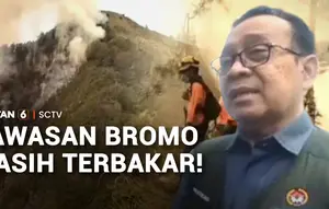 Berpacu dengan Waktu, Perjuangan Petugas Padamkan Karhutla di Bromo