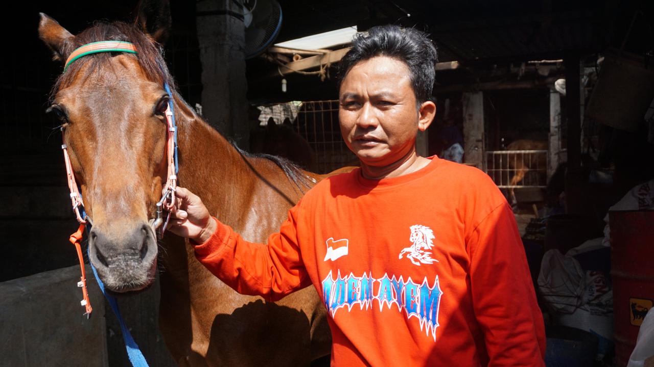 Bukan Kuda Putih yang Akan Menarik Kereta Kencana Kahiyang Ayu