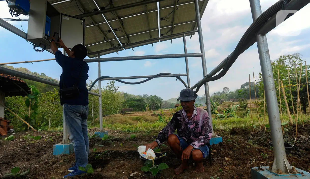 Petugas dari Green Energy Nusantara Mandiri melakukan pengecekan secara online panel surya yang dipasang pada areal pertanian di Cikaduwetan, Kabupaten Kuningan, Jawa Barat, Rabu (23/8/2023). (merdeka.com/Arie Basuki)