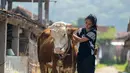 <p>Chef Renatta Moeloek terlihat berpose dengan sapi coklat yang ukurannya cukup besar. Seakan seperti mengembala sapi, Chef Renatta juga terlihat mengelus-ngelus sapi itu agar tetap jinak.(Instagram/renattamoeloek)</p>