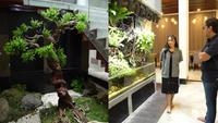 5 Potret Taman Mini di Area Tengah Rumah Rachel Vennya, Hadirkan Nuansa Alam di Dalam Hunian