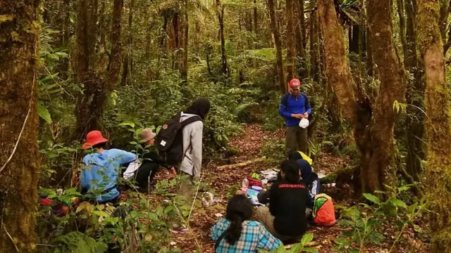 Pendaki berada di Gunung Urug, Bandung, Jawa Barat