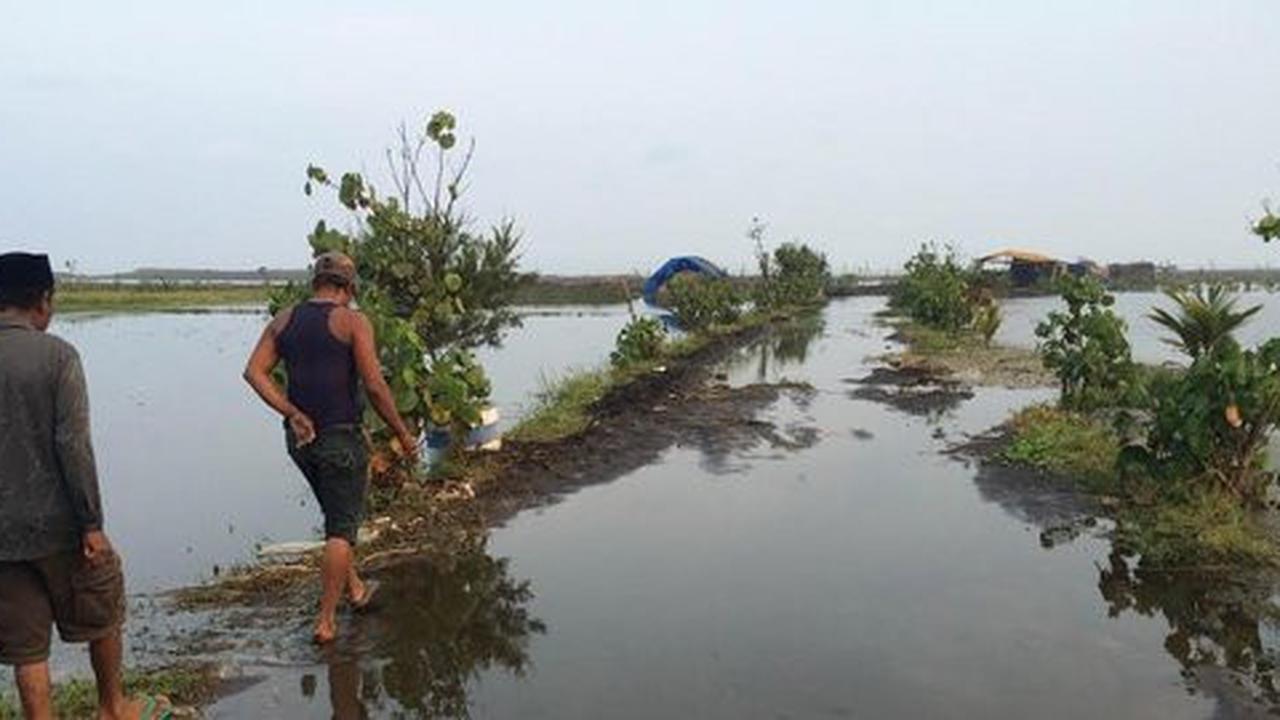 Warga tolak penambangan pasir lantaran sawah terendam air laut