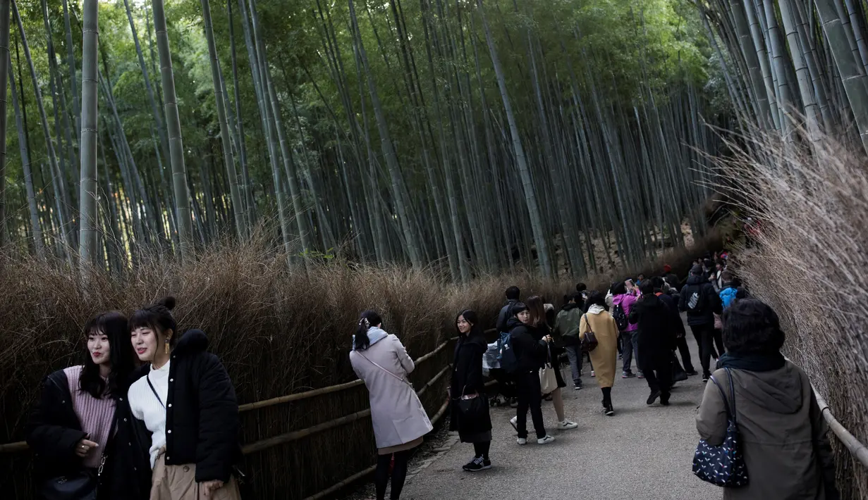 Para wisatawan berfoto saat mengunjungi Hutan Bambu Sagano di Arashiyama, Kyoto, Jepang pada 8 Desember 2018. Saat angin berhembus, deret bambu di hutan ini kerap mengeluarkan suara seperti siulan. (Behrouz MEHRI / AFP)