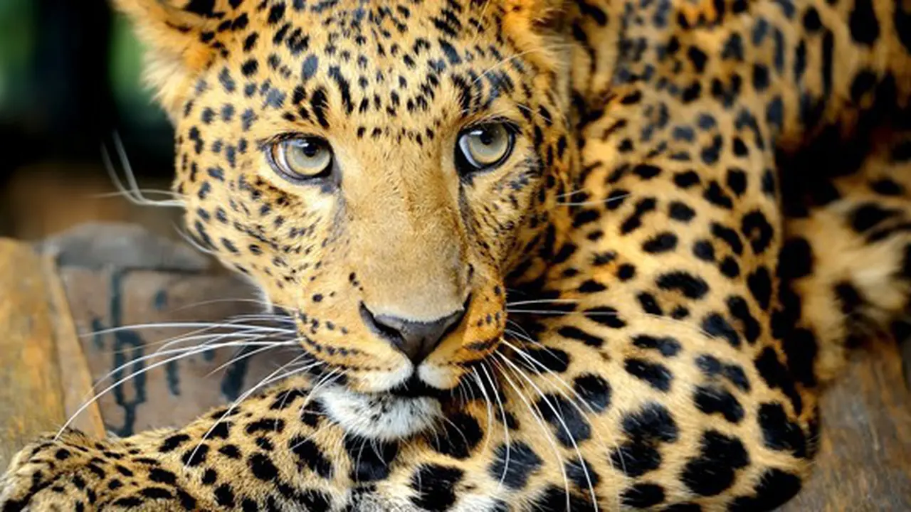 Foto: copyright Shutterstock.com