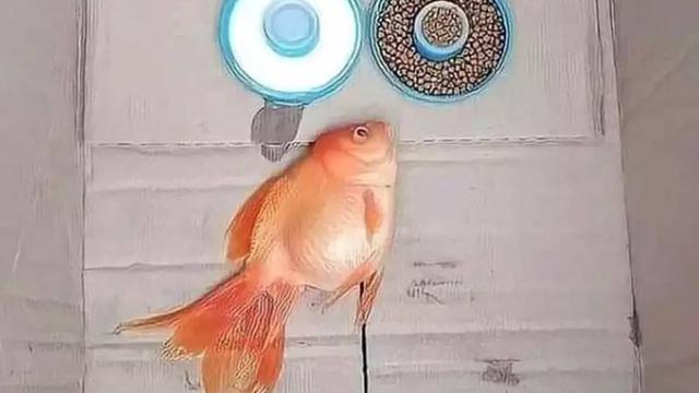 10 Potret Nyeleneh Orang Pelihara Ikan, Cara Kasih Makannya Bikin Geleng Kepala