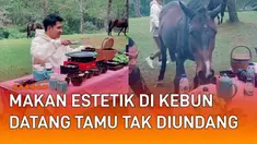 Sekumpulan pria mengadakan makan bersama di kebun akhirnya apes mengundang perhatian