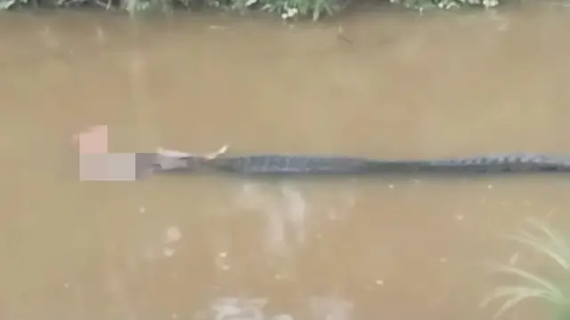 Seorang lansia bernama Wacalling (60), tewas usai diterkam buaya saat sedang mencari ikan di Sungai Kolaka Timur.(Liputan6.com/Ahmad Akbar Fua)