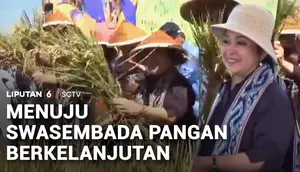 Titiek Soeharto Pimpin Kunjungan Kerja Komisi IV DPR Pantau Panen Raya di Klaten