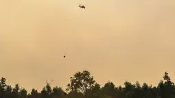4 Notam Aktif Terkait Kebakaran Hutan, Atur Ruang Udara hingga Bandara