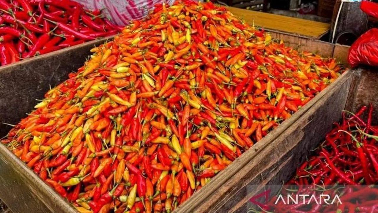 BI Malang Ingatkan Pemkot Intensif Pantau Stok Cabai Rawit Jelang Lebaran 2026