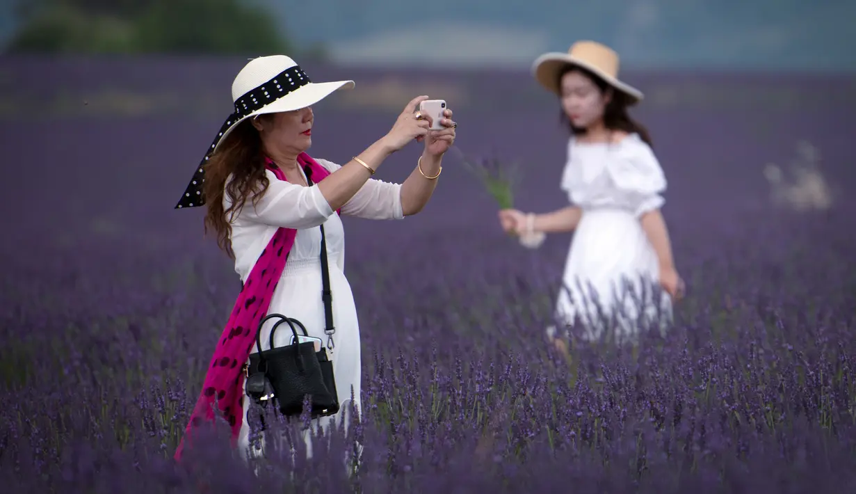 Wisatawan Asia mengambil gambar menggunakan ponsel ketika melintasi ladang lavender di Valensole, sebelah tenggara Prancis pada 29 Juni 2019. Kebun lavender yang mekar mulai akhir Juni hingga Agustus ini adalah objek wisata yang populer bagi turis Asia. (Photo by GERARD JULIEN / AFP)