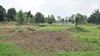 Kondisi danau yang mengalami kekeringan di area Taman Cempaka, Cipayung, Jakarta Timur, Minggu (7/7/2019). Danau buatan yang sedianya berfungsi sebagai penampung air hujan sekaligus wisata pemancingan gratis mengalami kekeringan akibat musim kemarau. (merdeka.com/Iqbal S Nugroho)