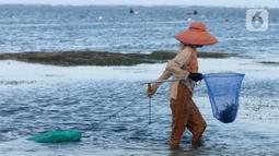 Warga Desa Adat Peminge mengumpulkan lepasan rumput laut di kawasan Pantai Geger Mulya, Nusa Dua, Bali, Selasa (3/5/2022). Dalam sehari, belasan warga mampu mengumpulkan sekitar 5 hingga 20 kg rumput laut basah yang jatuh karena gelombang laut. (merdeka.com/Arie Basuki)