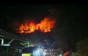 Kebakaran Hutan Sulsel Capai 1.613 Hektare, Enrekang Terparah