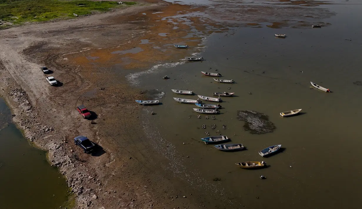 Namun, polusi dan degradasi habitat menjadi ancaman yang signifikan terhadap integritas biologis danau. (Ulises Ruiz / AFP)