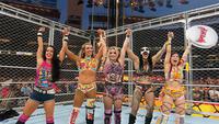 WWE Survivor Series: WarGames Drama to AJ Lee and Dominik Mysterio's Brilliant Victory