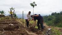 BRI Insurance Tanam 50.000 Bibit Pohon, Perkuat Komitmen ESG dan Lingkungan