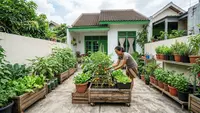 7 Ide Kebun Sayur untuk Rumah Kontrakan yang Tidak Boleh Dibongkar, Mudah Dibuat