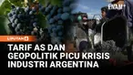 Industri wine Argentina tengah menghadapi krisis terburuk dalam lebih dari satu dekade. Penurunan konsumsi domestik, melemahnya ekspor, serta tantangan ekonomi membuat banyak kebun anggur dan kilang wine terancam gulung tikar.