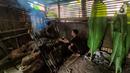 Karyawan mengasap ikan mas menggunakan kayu bakar di Setu Tujuh Muara Sawangan, Depok, Minggu (19/06/2022). Selain ikan, warung makan ini juga mengasap ayam dan jeroan ikan dengan metode yang sama. (Liputan6.com/Fery Pradolo)