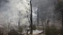 Kepulan asap usai kebakaran di hutan kawasan California, AS, Senin (3/8/2015). Kebakaran ini terjadi setelah bagian barat AS dilanda kekeringan selama empat tahun (Reuters/ Stephen Lam) 
