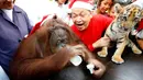 Orangutan bernama Pacquiao minum susu saat merayakan pesta natal di Malabon, Filipina (21/12). Pacquiao merayakan natal bersama sekitar 200 anak yatim piatu dan biarawati Katolik Roma. (AP Photo / Bullit Marquez)