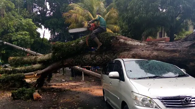 Angin Kencang Berlangsung Singkat di Kota Malang Bikin Banyak Kendaraan Ringsek