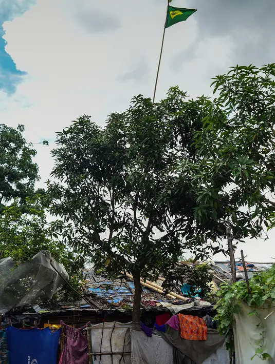 Bendera Brasil berkibar di atas penampungan sementara Rohingya di kamp pengungsi Kutupalong di Ukhia, Bangladesh, 19 Juli 2018. Demam Piala Dunia 2018 masih terasa di kamp yang menampung hampir satu juta pengungsi Rohingya itu. (AFP/Munir UZ ZAMAN)