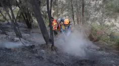 Karhutla Gunung Bromo Capai 550 Hektare