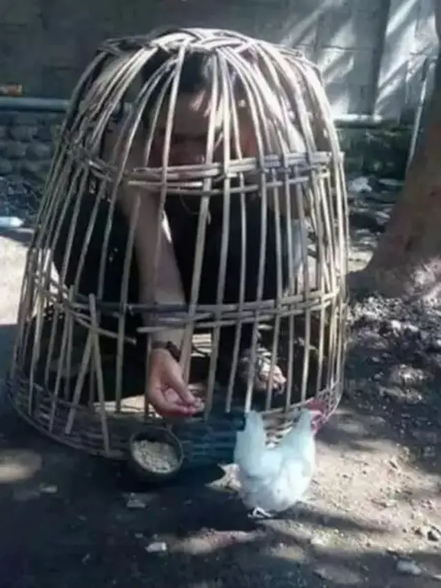7 Potret Kocak Orang Pelihara Ayam, Ada yang Pakai Popok