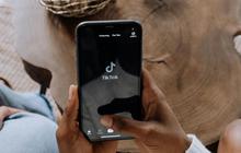 Erick Minta TikTok Tingkatkan Investasi di Indonesia