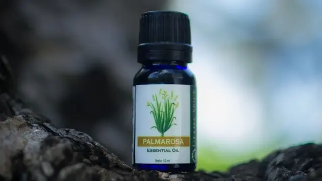 Utama Spice