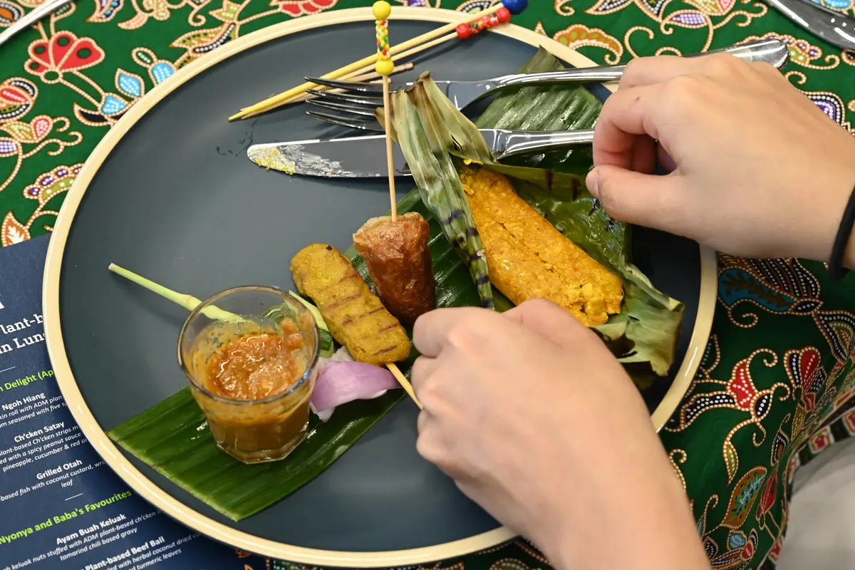 Laboratorium di Singapura Bikin Sate Ayam hingga Rendang Imitasi, Tak Gunakan Daging Sama Sekali