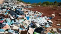 Target PSEL Bali Layani 1.500 Ton Sampah per Hari