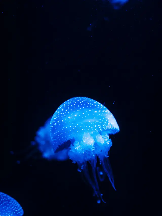 20 Background Hitam Keren untuk Wallpaper HP dan Laptop - Hot Liputan6.com