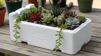 Styrofoam Bekas Makanan Bisa Buat Apa? Ini Ide Kreatif dan Bermanfaat di Rumah