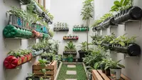 9 Cara Membuat Taman Kecil di Halaman Sempit dengan Budget di Bawah Rp 200 Ribu