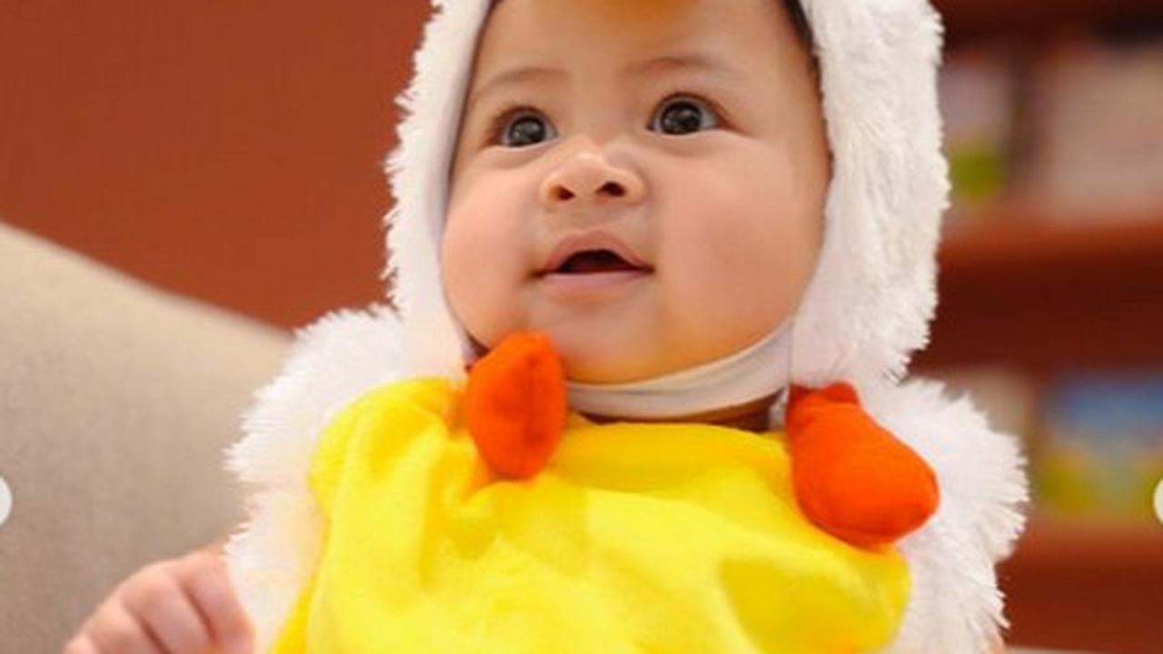 3 Foto Baby Lily Jalani Pemotretan Pakai Kostum Ayam, Diapit Kedua Kakak Ganteng Rafathar & Rayyanza