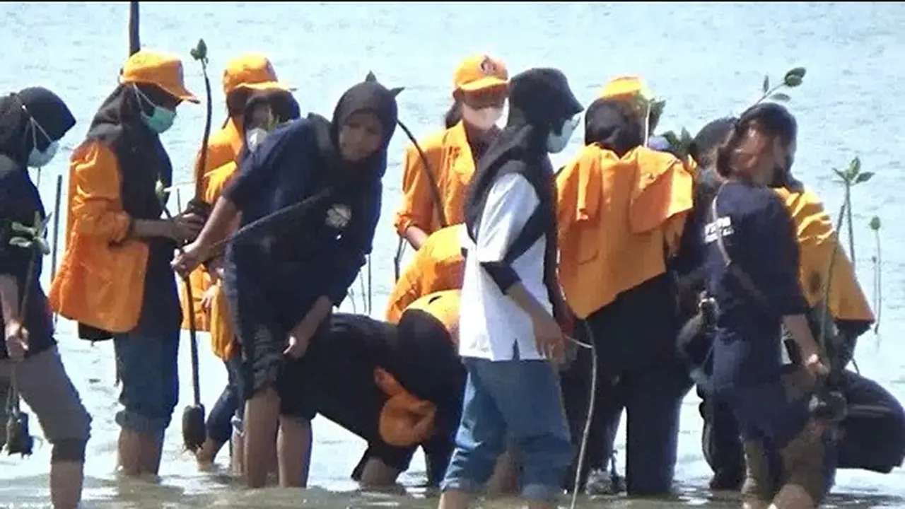 Mahasiswa  Sulawesi Tenggara menanam sebanyak 2022 pohon mangrove di pesisir pantai Konawe memperingati hari Bumi,(Liputan6.com/dok warga)