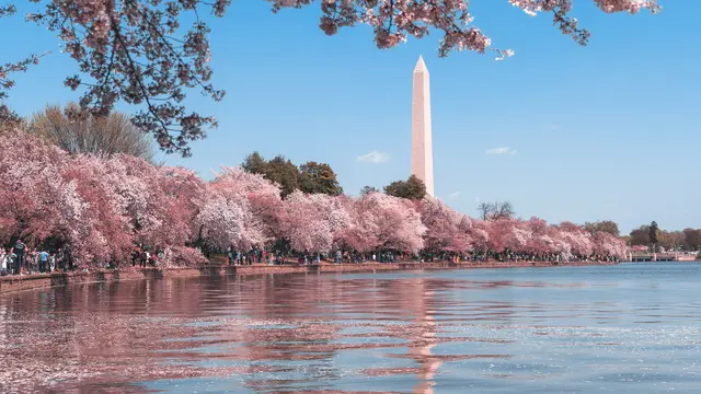 Washington DC