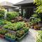 Cara Menata Halaman Cor agar Tetap Bisa Digunakan untuk Berkebun (Sumber: gemini.com)