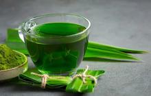 Jarang Diketahui, Khasiat Daun Pandan untuk Pria Tingkatkan Vitalitas dan Kesehatan