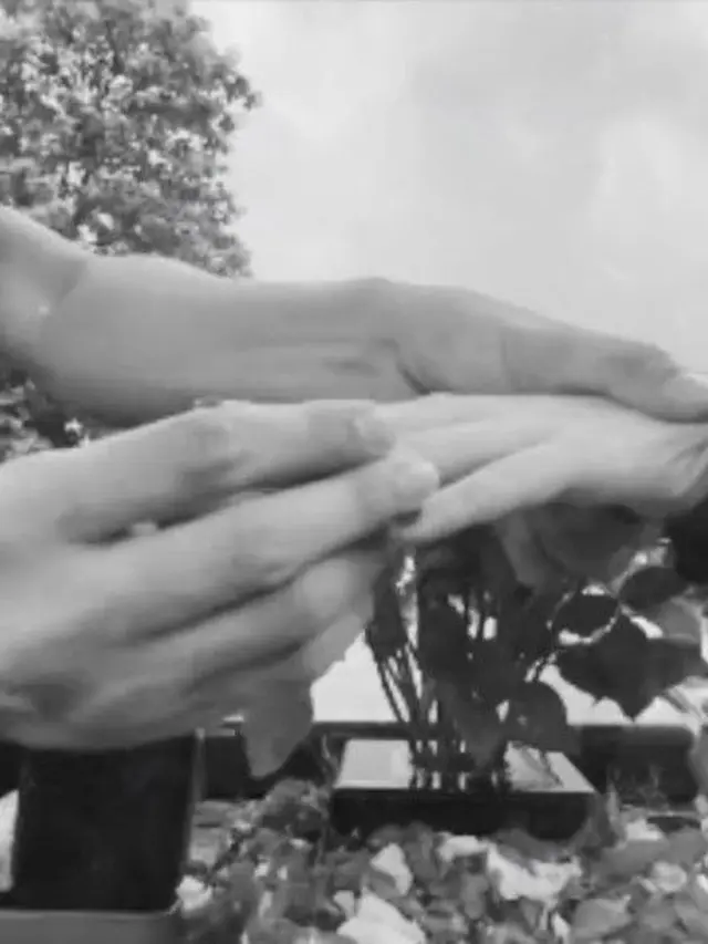 Baru Diungkap, Ini 6 Momen Chand Kelvin Lamar Kekasih Pertama Kali di Makam Calon Mertua