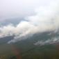 Pola kebakaran hutan dan lahan (karhutla) di Kalimantan yang sengaja dibakar. (Dok Badan Nasional Penanggulangan Bencana/BNPB)