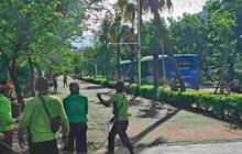 Antisipasi Cuaca Buruk, Pemprov DKI Gencarkan Peremajaan Pohon Jakarta untuk Cegah Pohon Tumbang