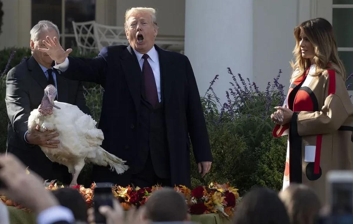 Melania Trump - Donald Trump