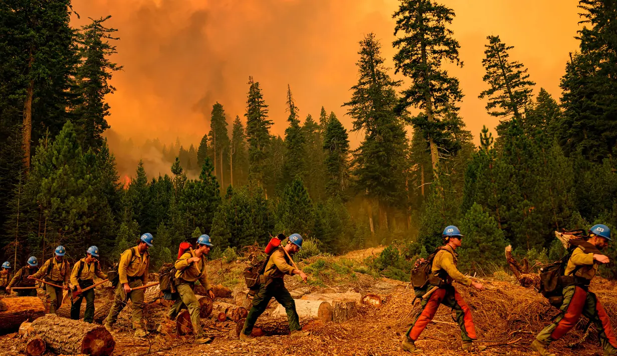 Tim pemadam kebakaran Plumas Hotshots berjalan dari garis kebakaran selama kebakaran Taman di daerah Mill Creek, Tehama County, California, 7 Agustus 2024. (JOSH EDELSON/AFP)