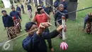 Sejumlah abdi mencabut anak panah saat lomba panahan tradisional gaya Mataram di Komplek Kraton Kesultanan Yogyakarta, Kamis (15/9). Perlombaan tersebut berhadiah medali emas buatan Perancis. (Liputan6.com/ Boy Harjanto)