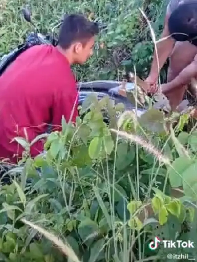 Viral, Diduga Kehilangan Keseimbangan Ketiga Wanita Ini Jatuh Ke Sawah